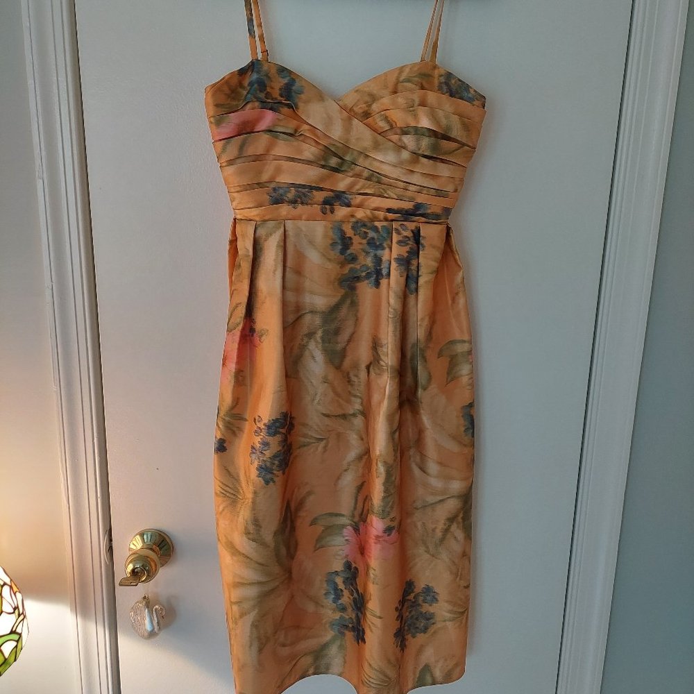 NWOT James Coviello for Anthropologie Dress Size 6